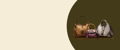 Premium Bags and accessories Products Online