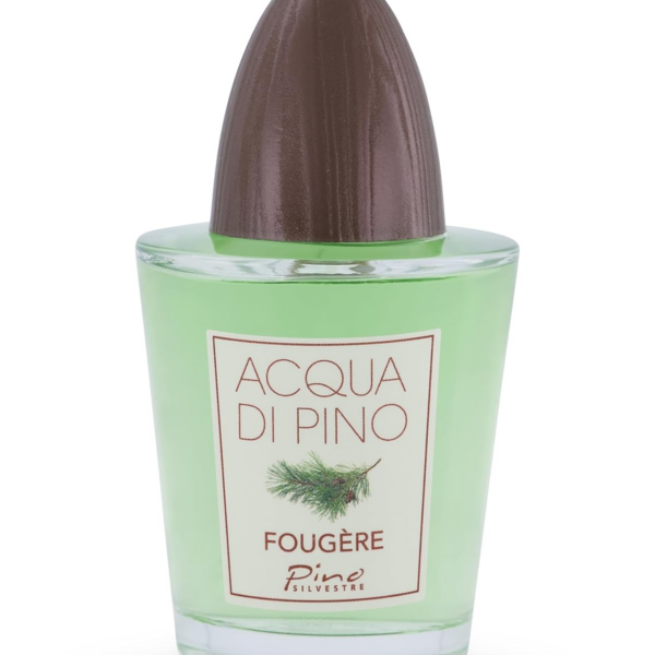 BY MAVIVE PINO SILVESTRE ACQUA DI PINO FOUGERE(M)(T)EDT SP Perfume By  For MEN